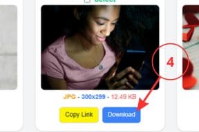 Step 4: Preview, Pick, Download
